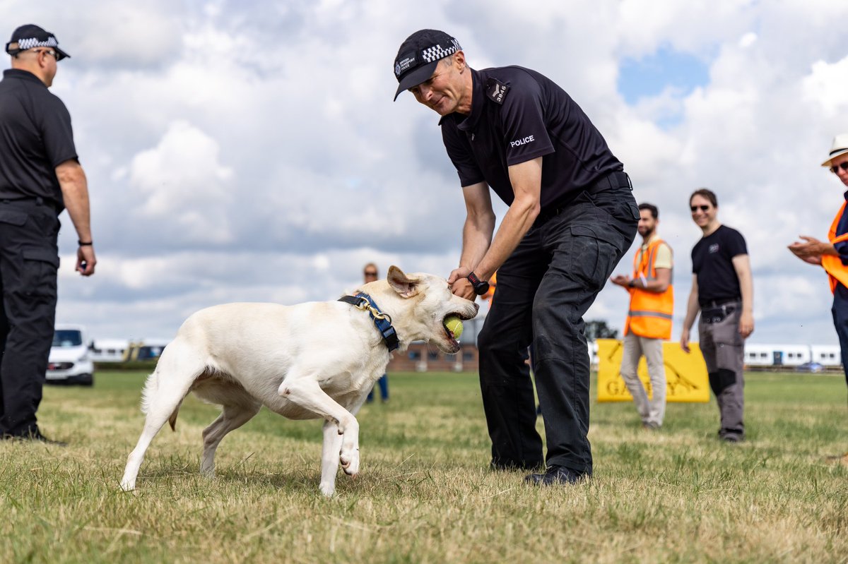 Railway Dogs Benevolent Fund on Twitter "RT BTPDogs Great few days