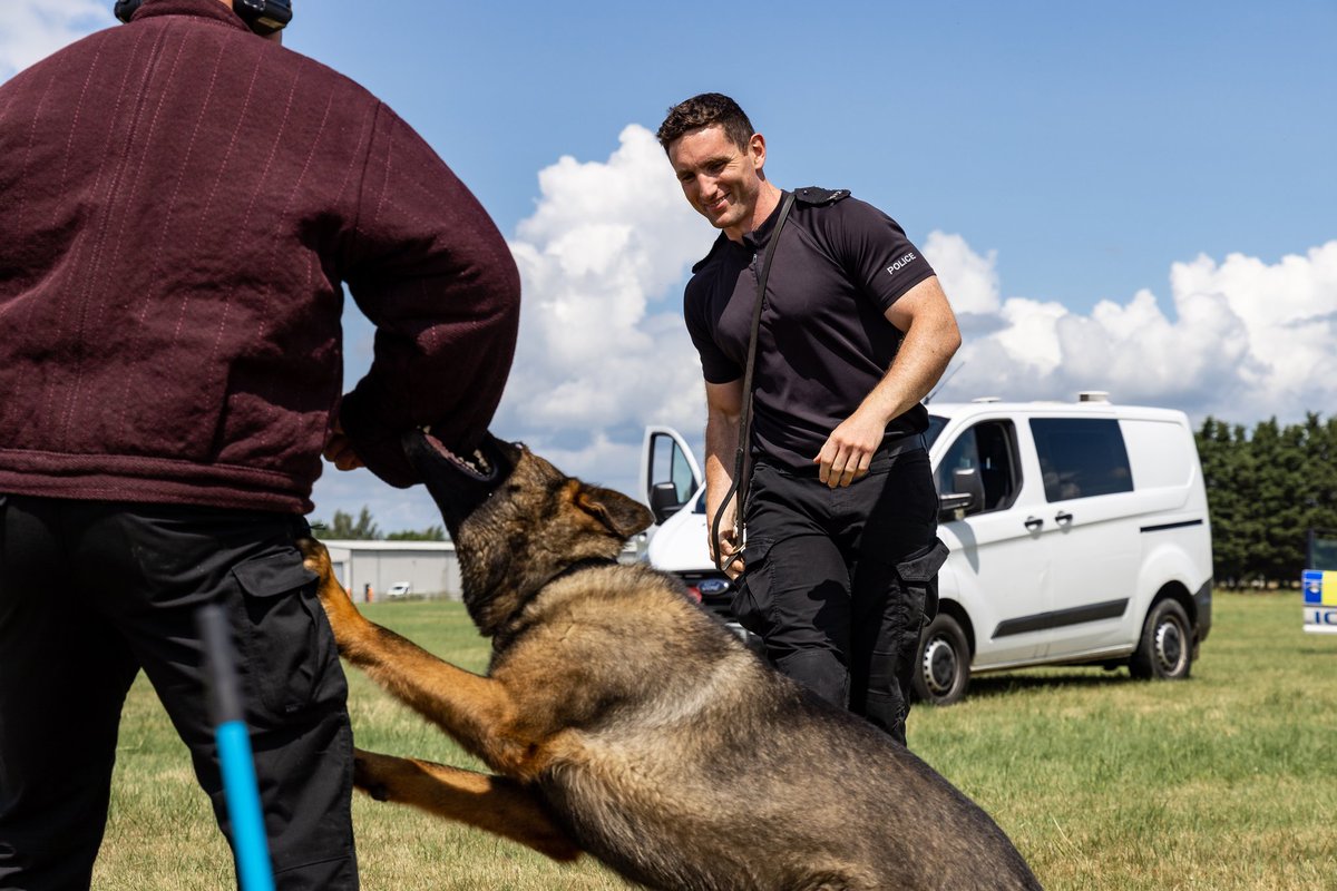 Railway Dogs Benevolent Fund on Twitter "RT BTPDogs Great few days