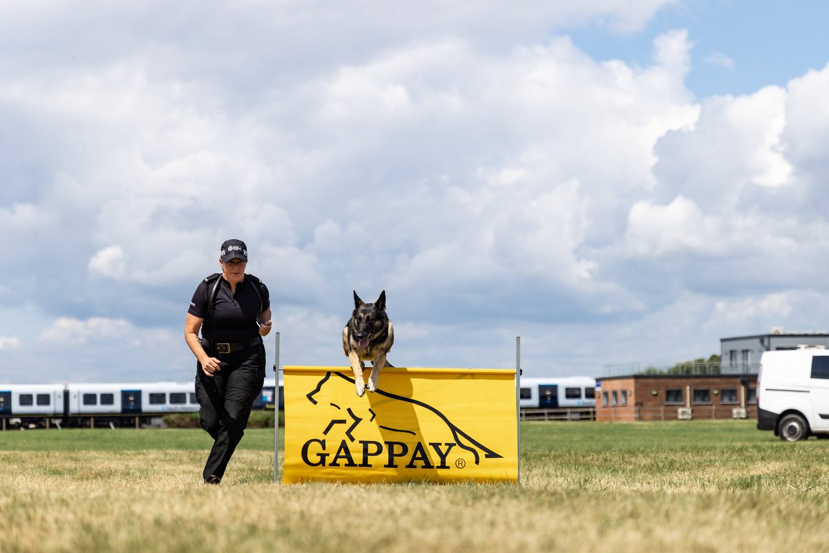 Railway Dogs Benevolent Fund on Twitter "RT BTPDogs Great few days
