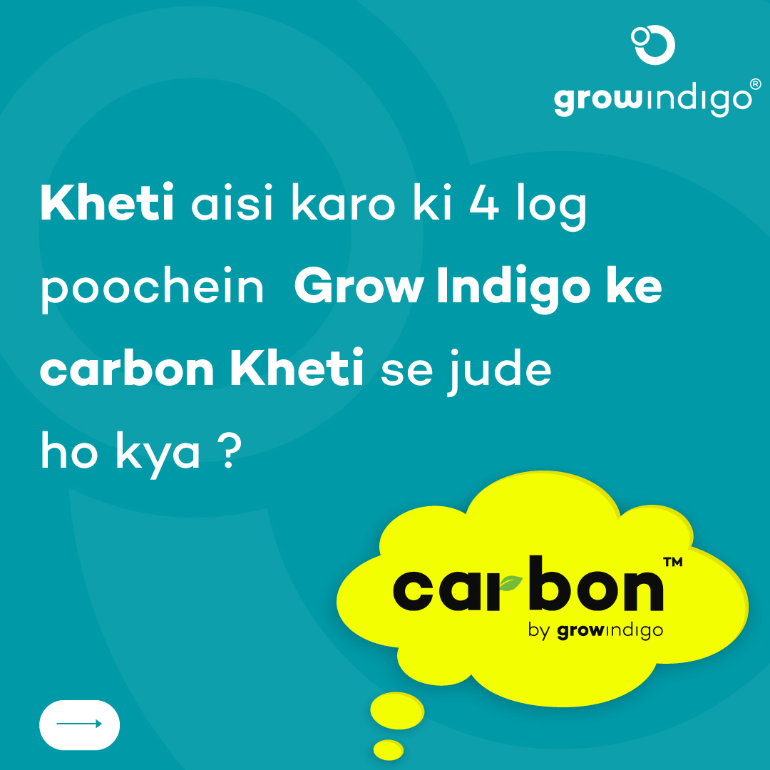 Grow Indigo tweet media