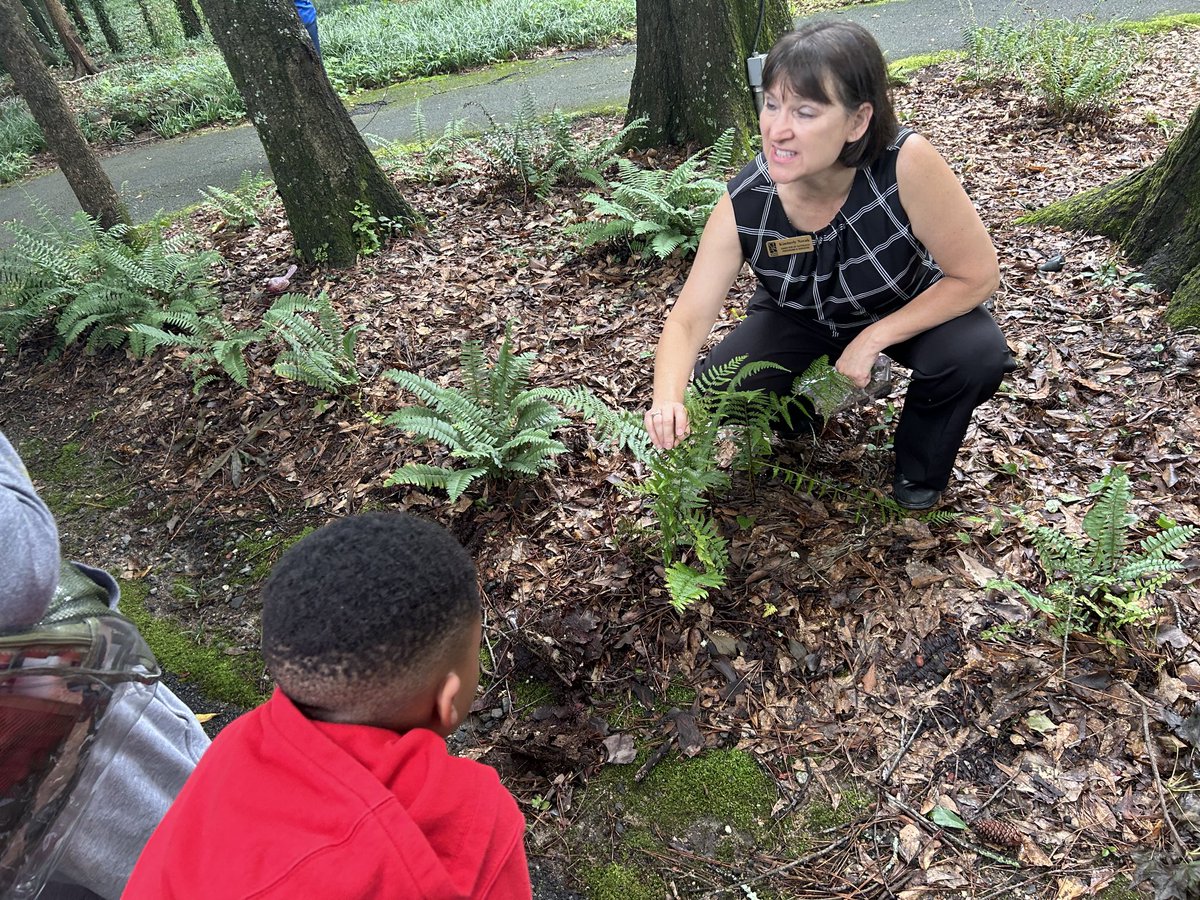 Barbara Alston tweet media