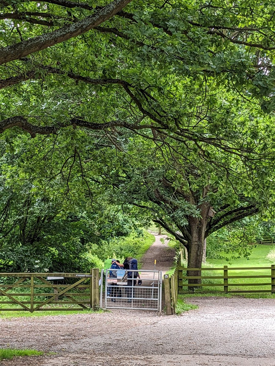 Our Bronze participants have made excellent progress along their qualifying routes today and have started arriving into camp.