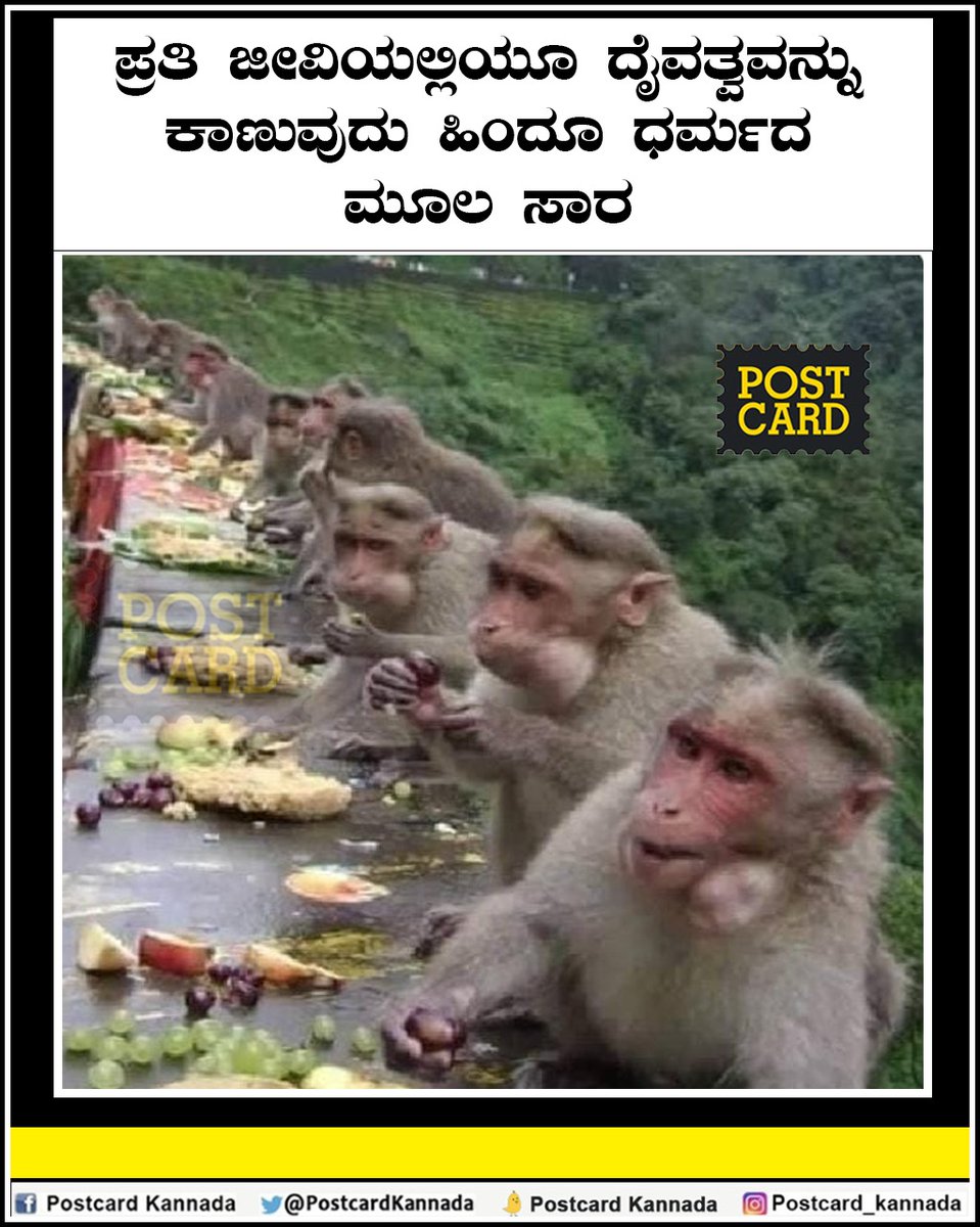 Postcard Kannada (@PostcardKannada) on Twitter photo 2023-06-23 15:46:32