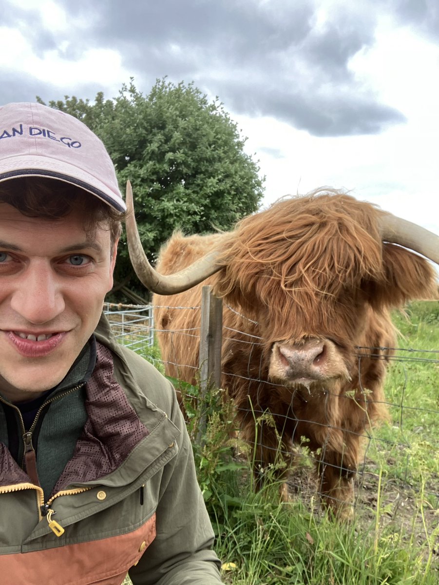 Joseph Calamia tweet media