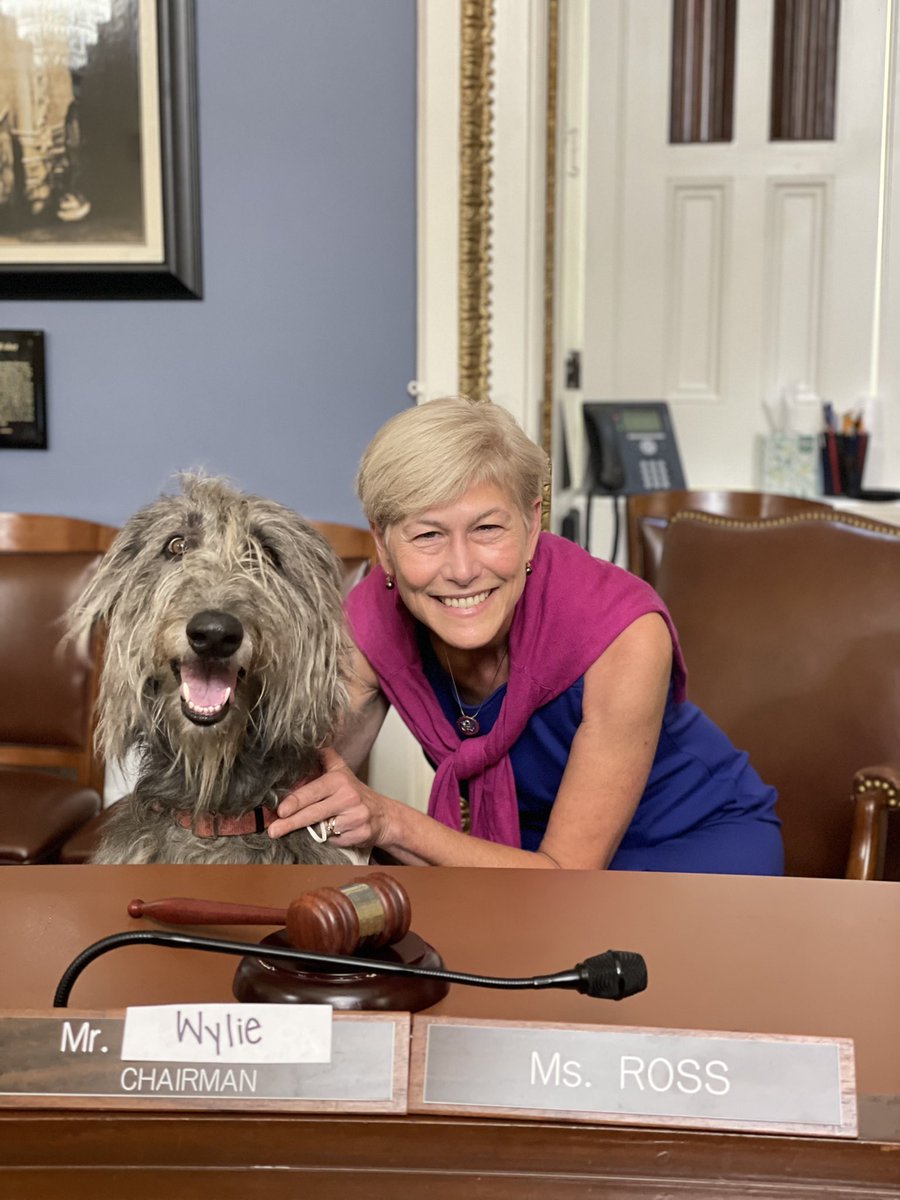Today is National Take Your Dog to Work Day! Wylie is ready to make paws-itive changes for the people of NC.🐾