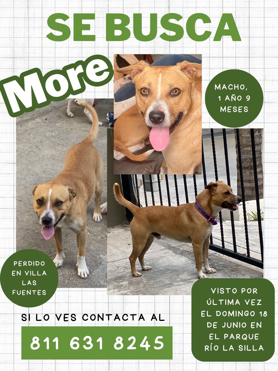 Se agradece cualquier información y su RT
#SeBusca