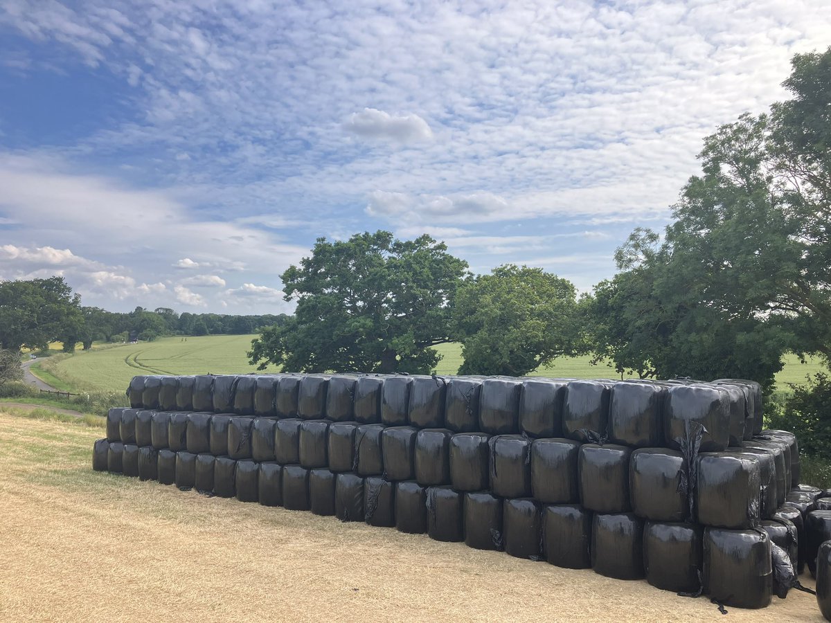312 bales of haylage carted & stacked.. finally 🤪