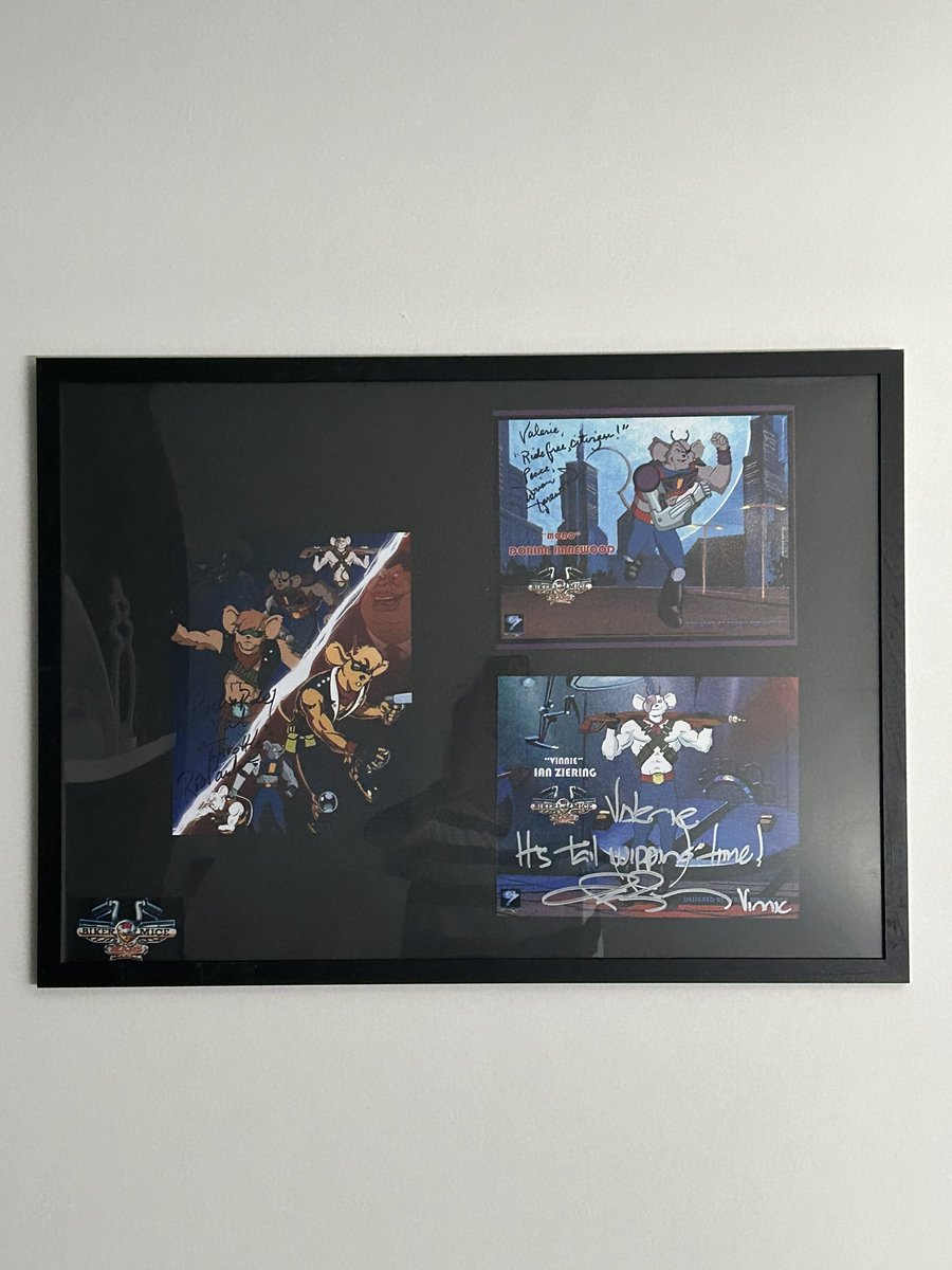 Finally had the time to frame my precious collection of autographs 🤍 Ride free, citizens! 🤘🏻#bikermicefrommars  #robpaulsen #ianziering #dorianharewood