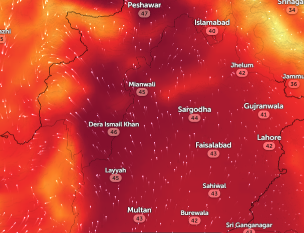 ashersamu's tweet photo. #Peshawar "the land of flowers is more than desert today" #TikTok #عمران_خان_تو_ائیگا #Pakistan #DevelopedCities #FossilFuels #CO2 #SaveLives #ActOnClimate @Pontifex @csc_pak @Sdg13Un #ClimateCrisis #heatwave #ClimateEmergency https://t.co/FPu4QbYGat