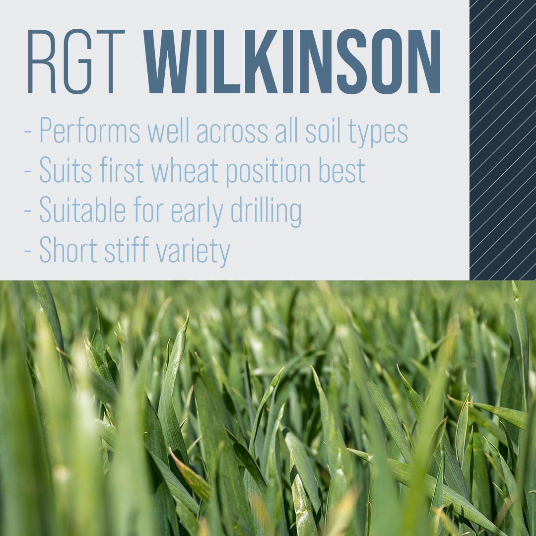RAGT Seeds UK tweet media