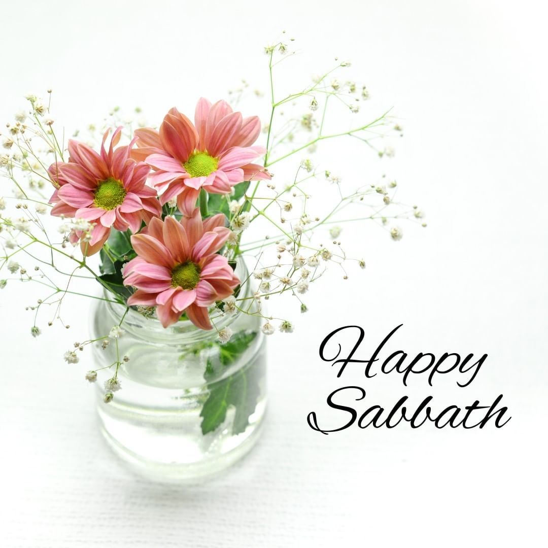 Happy Sabbath

#Sabbath #HappySabbath