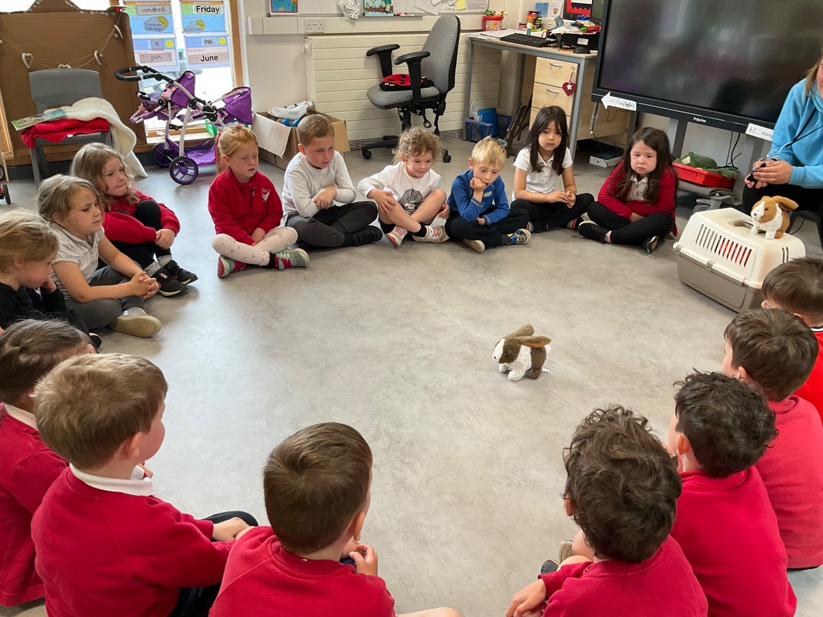 P1 and P2/3 had a Rabbit Rescuers workshops and P3/4 had an Animals and Us workshop