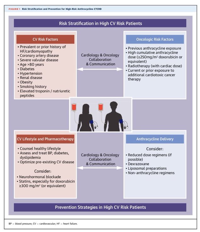 Excelente resumen de la protección en CO