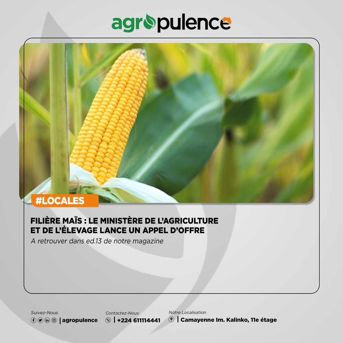 agropulence's tweet photo. Article à retrouver dans l'édition 13 de votre magazine.

Magazine en téléchargement gratuit sur : https://t.co/1y7O3ZeKPP https://t.co/dBWryVUeS0