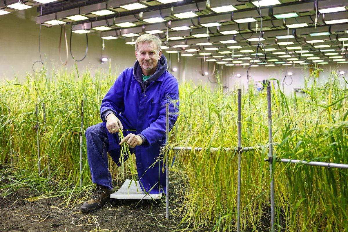 On August 2 at noon, join the <a href="/OldsCollege/">Olds College of Agriculture & Technology</a> Field Crop Development Centre at #AgSmart23 to celebrate 50 years of variety innovation with cupcakes presented by SeCan!