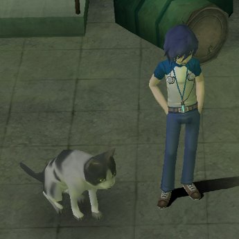 comically large cat from persona 3