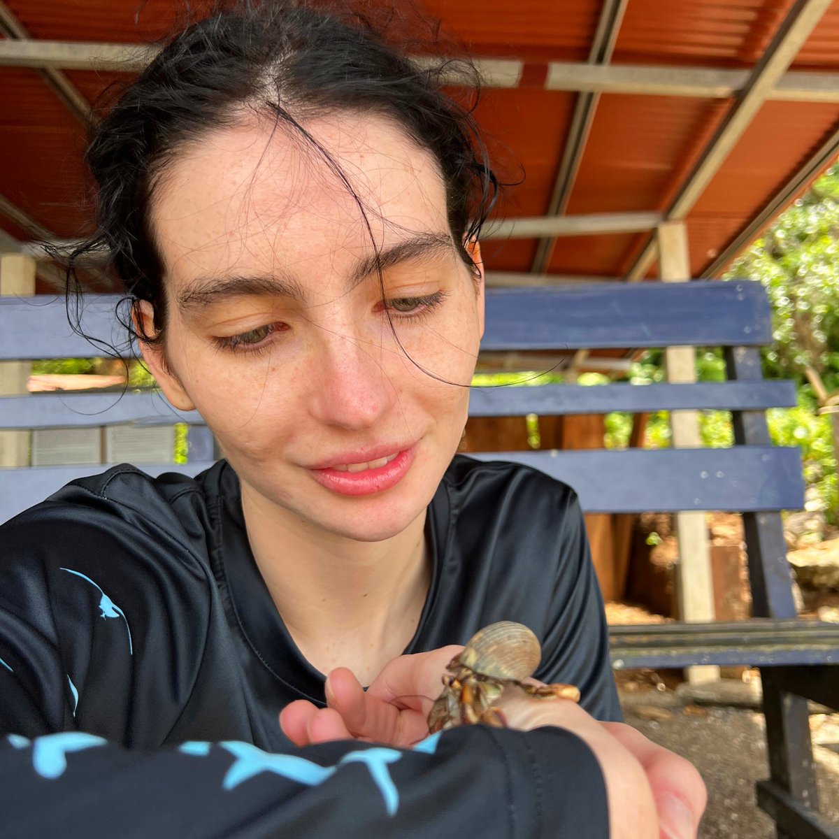 paulwalkerfdn's tweet photo. Meadow discovers the wonders of the ocean with a new friend. 🐚💙Visit the link in our bio to learn about how you can share your support. #pwfxinnoceana #dogood #worldoceansday https://t.co/wVwezqC7Vk