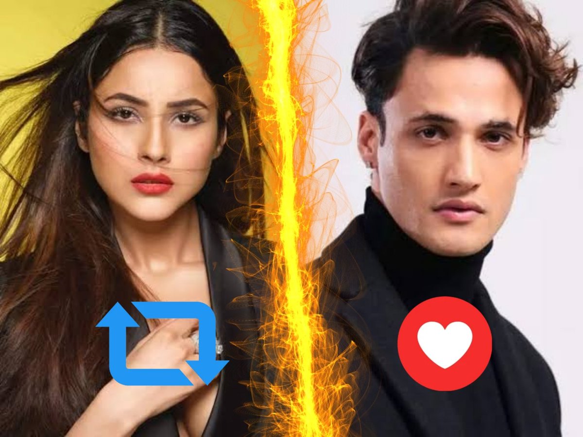 Harmindarboxoff's tweet photo. who more popular #ShehnaazGill or #AsimRiaz https://t.co/Qj9jJ7zuPT