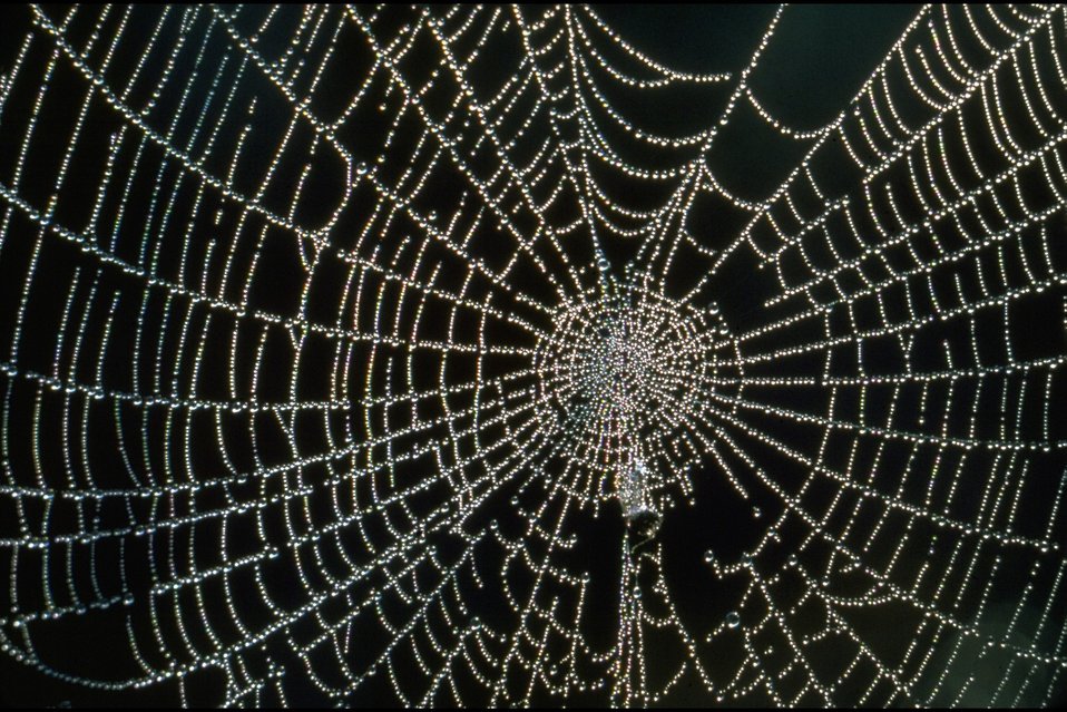 jacimcdole's tweet photo. Intricate. Intertwined. Inspiring. Important.
Much like a spiderweb, IP-empowered creative ecosystems are crisscrossing, complex, and essential. They promote communities, connectivity, and local, national, and international economies. #CreateConnect https://t.co/uu3a09B3VW