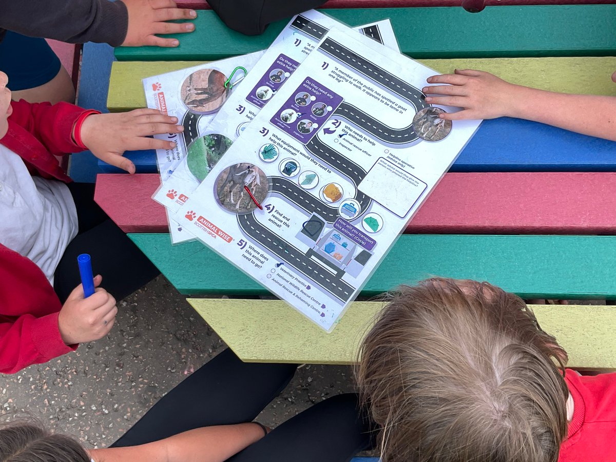 P5&amp;6 had an Animal Adventurers workshop outside in the afternoon making decisions about hope to keep animals safe 🐶 🐦🐇