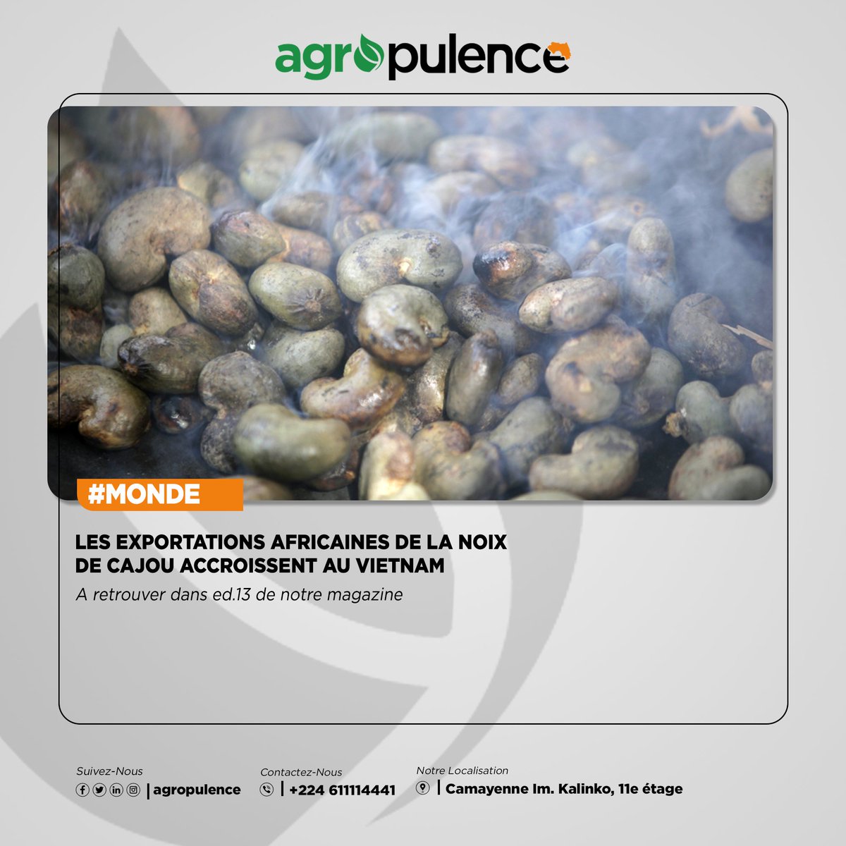 agropulence's tweet photo. Article à retrouver dans l'édition 13 de votre magazine.

Magazine en téléchargement gratuit sur : https://t.co/1y7O3Zed0h https://t.co/PQyptN4gLd