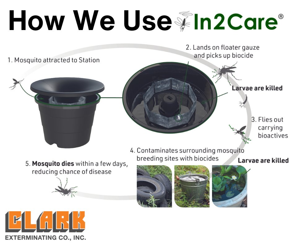 mybugproblem's tweet image. Raise your hand if you&apos;re tired of being bitten by mosquitos. 🙋 ‍
Clark Exterminating is proud to offer mosquito control without all the harmful chemicals! We offer a solution that is environmentally friendly, kid friendly, pet friendly, and most importantly, YOU friendly.