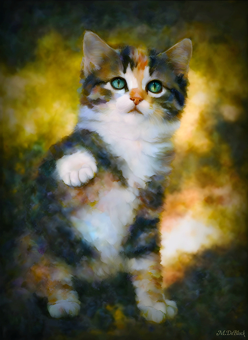 DeblockMarilyn's tweet photo. New artwork for sale! - "Calico Kitten" - https://t.co/JjUTjTKk74 @fineartamerica https://t.co/J35EQRAnl9