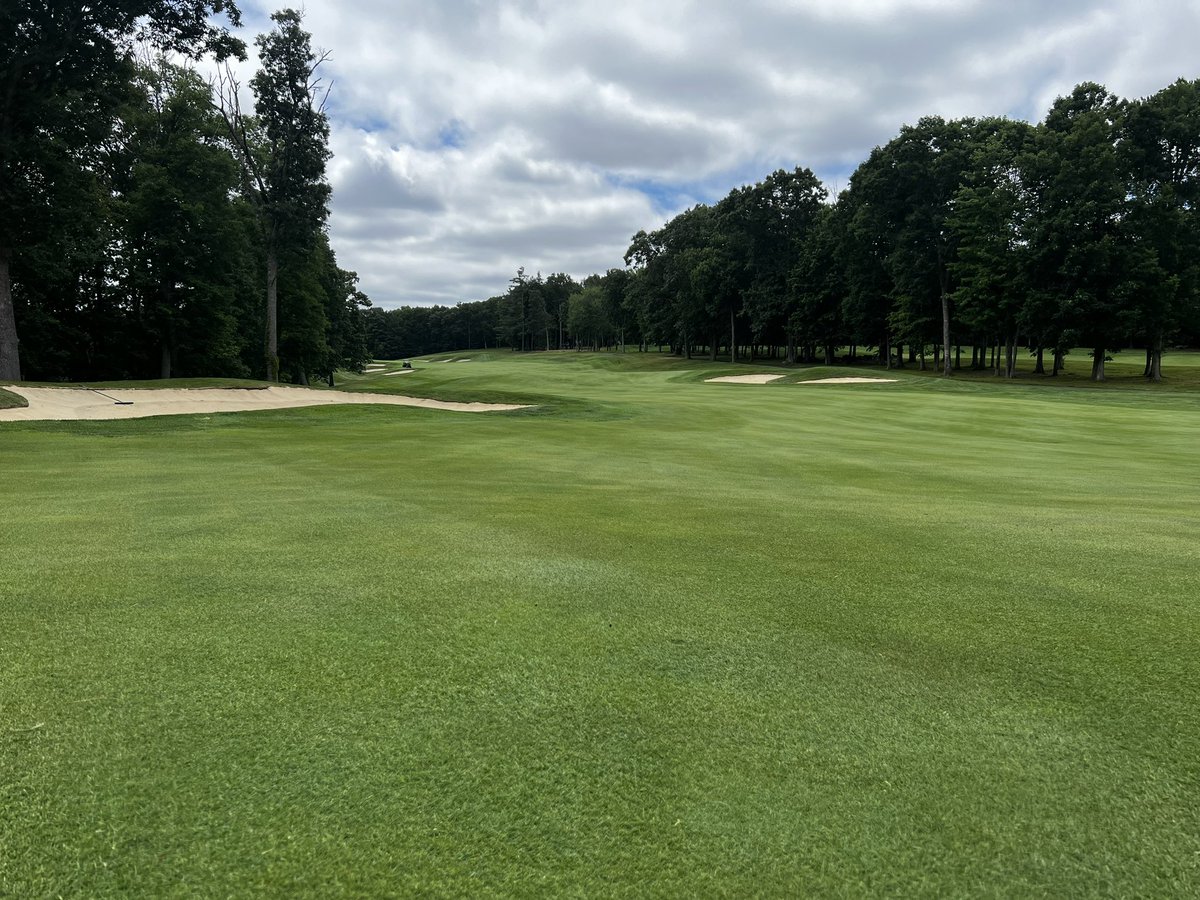 Scott Reynolds tweet media