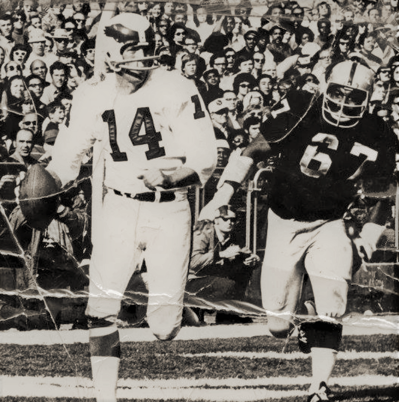 AFL Godfather 🏴☠️👓🏈 on Twitter: