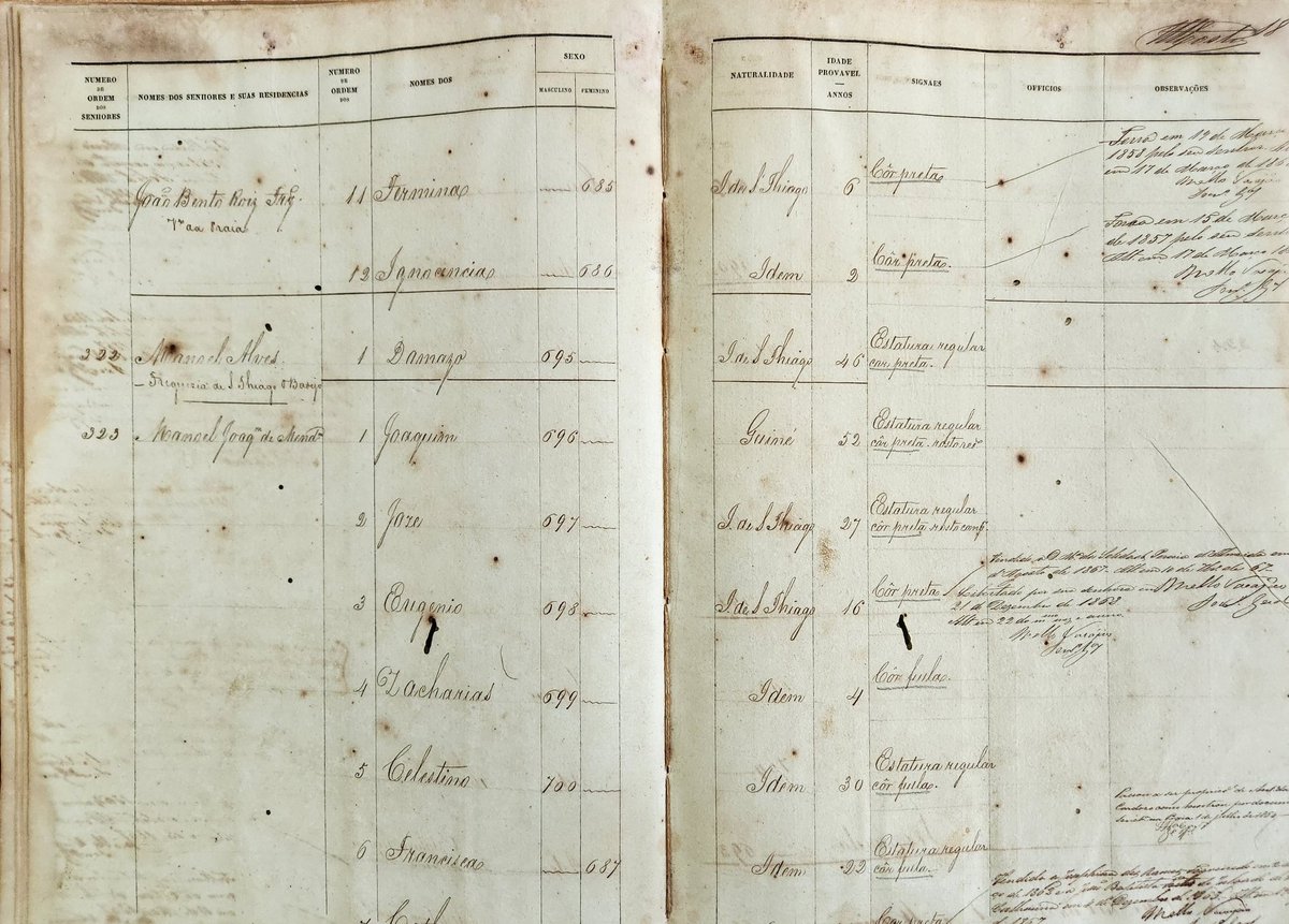 Mariana Candido tweet media