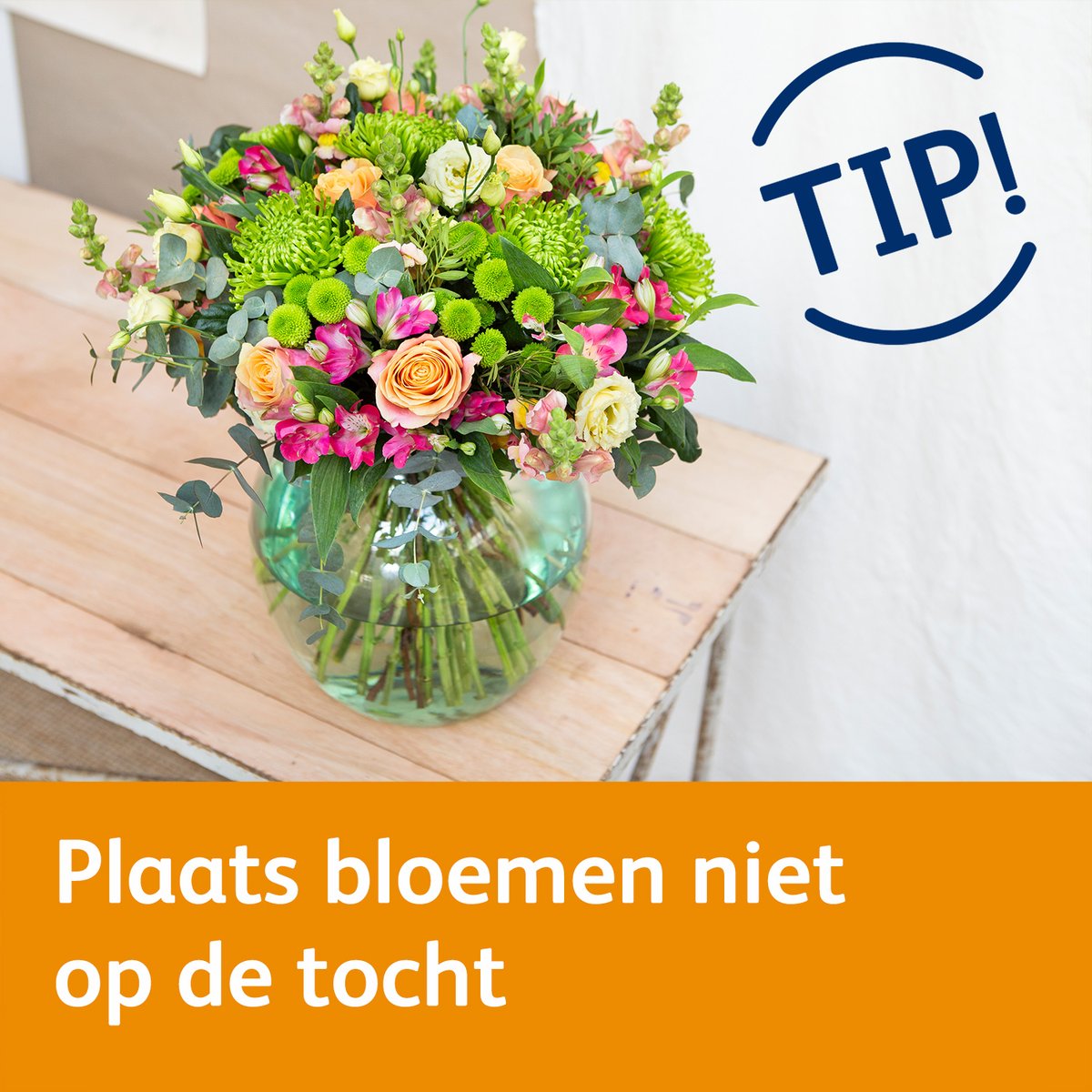 Chrysal Benelux tweet media