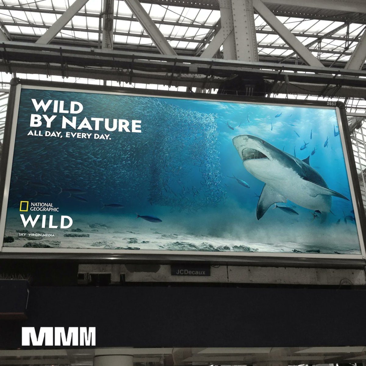 One from the collection of key arts we created for the @Natgeowild campaign we had the pleasure of being involved in at the end of last year. Case study is on the website. WILD BY NATURE 
#shark #nationalgeographic #wild #branding #campaign #design #keyart #channelbrand #vfx