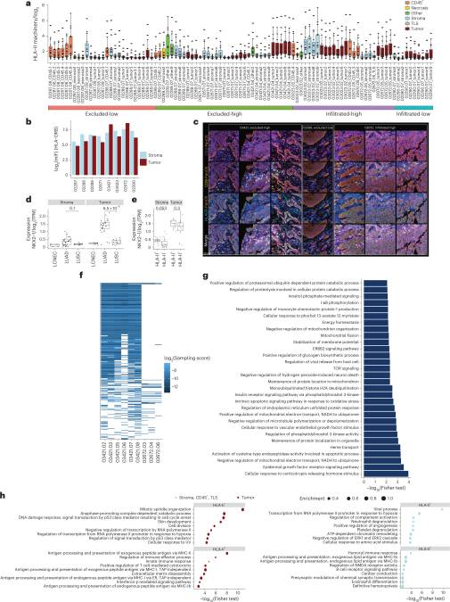 GeoMx DSP is your best ally for conducting translational research as shown in this @NatureCancer #Fridayread from the @CHUVLausanne.

Bassani-Sternberg's team looked at the immunopeptidome landscape as a means to better stratify #lungcancer patients.

👉ncbi.nlm.nih.gov/pmc/articles/P…