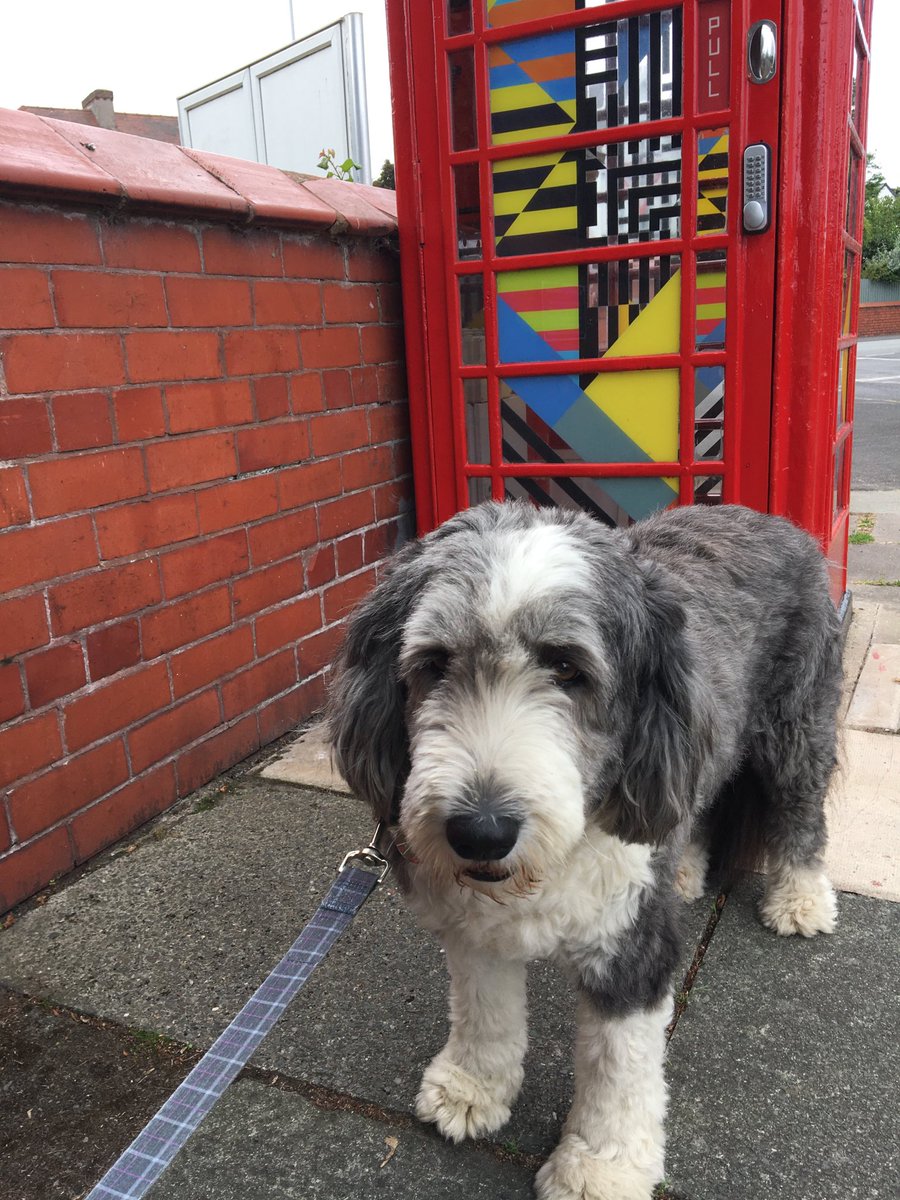 Just to prove to ⁦<a href="/G1NGERWEREWOLF/">Paul Cornwell</a>⁩ that when you play Red Frame White Light by OMD on Spotify a pic of the telephone box featured in he song pops up on screen. And here is one of our doggie friends by said phone box earlier today