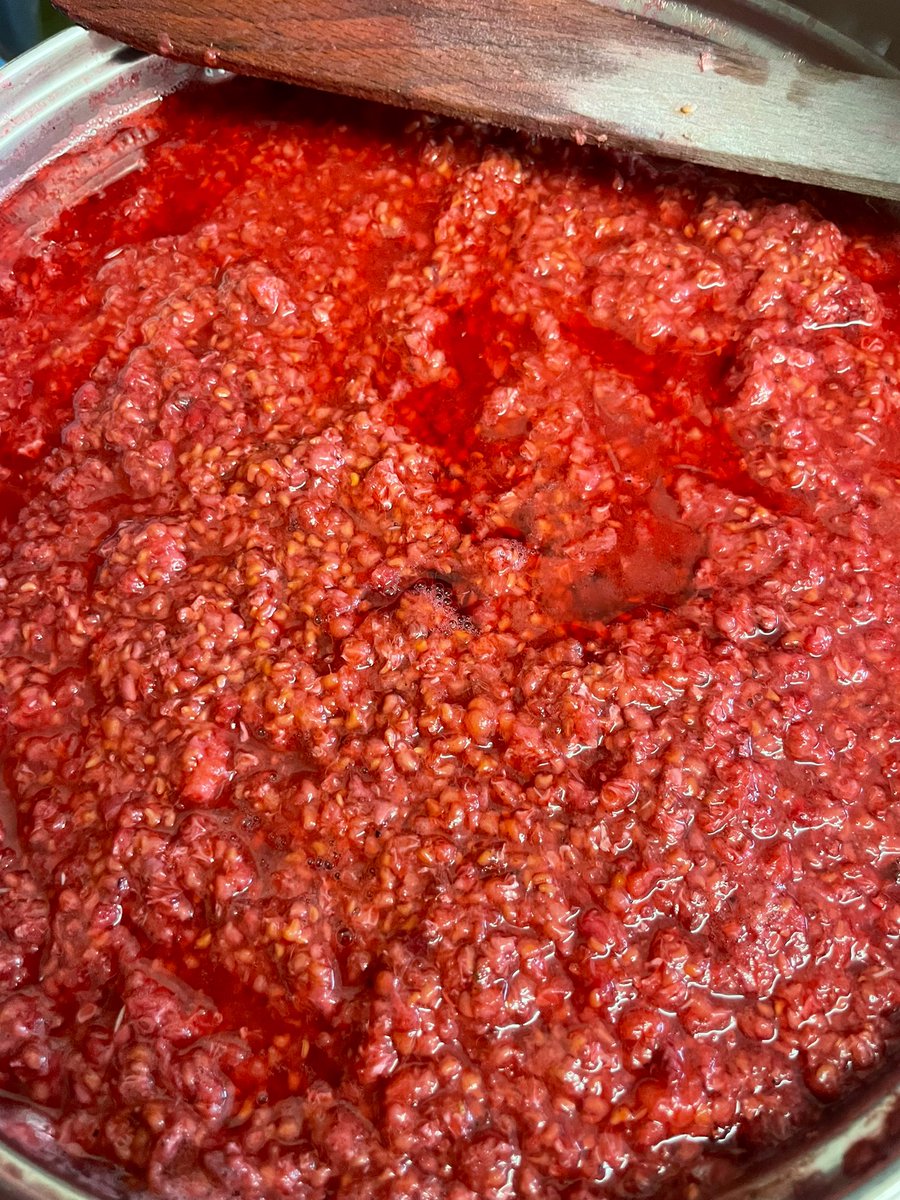 "Nothing beats the taste of homemade jam, there's something special about the love and care that goes into each jar. Who else loves the satisfaction of preserving the flavors of summer all year round? 🍓🍒🍇 #HomemadeJam #SummerFlavors"