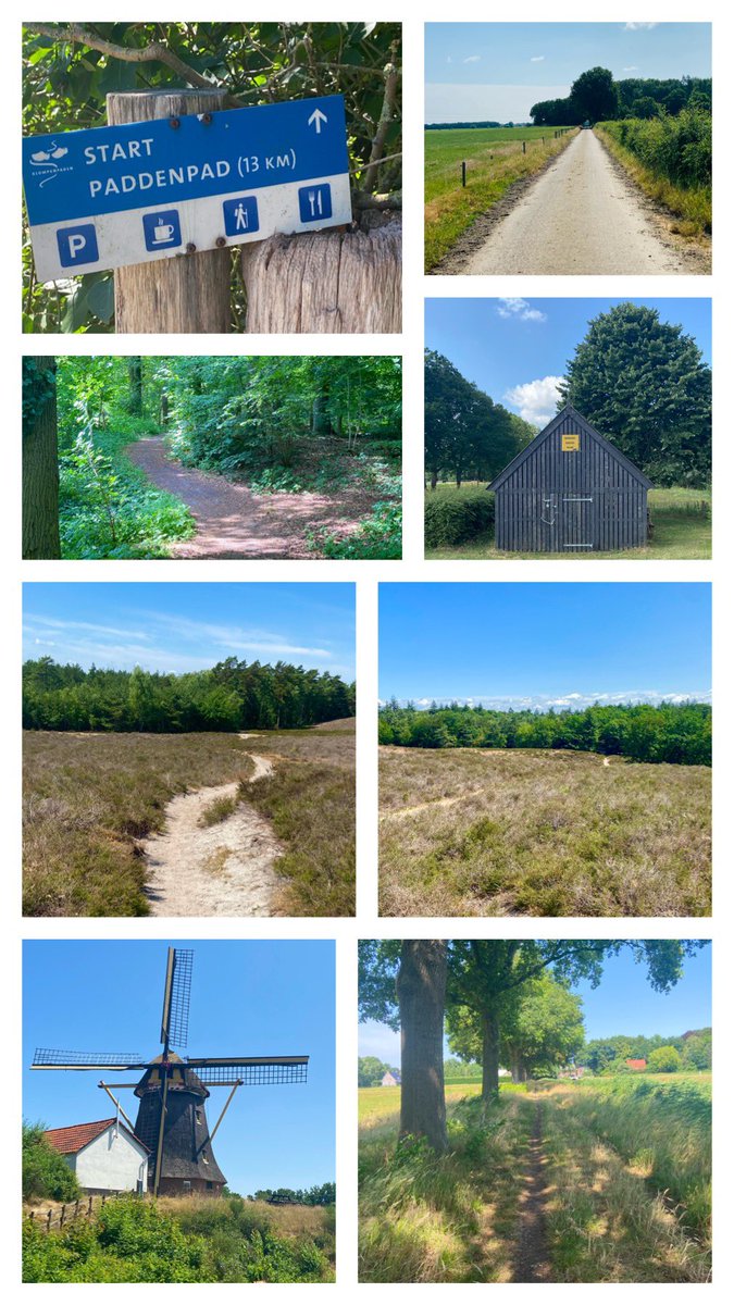 GertE72's tweet photo. Vandaag weer een mooi #klompenpad af kunnen vinken ✅ Het Paddenpad in Wapenveld. Een mooi, en afwisselend pad. Absoluut een aanrader !
#wandelen #VisitHeerde #Veluwe #Heerde https://t.co/CPW2Kxv51s
