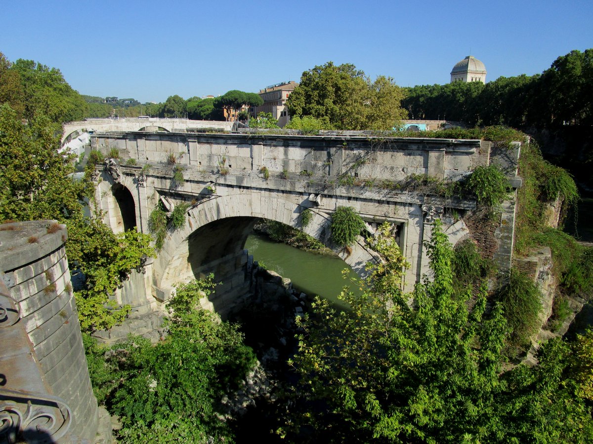 VaniaDelli's tweet photo. #Roma
#PonteRotto
#DizionarioRomanesco
CIAVATTONI:
Fagioli bianchi molto grossi e appiattiti, la cui forma ricorda quella delle ciabatte. https://t.co/n7eOjkxnxK
