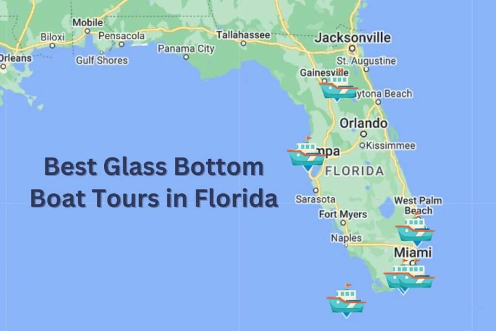 6 Best Glass Bottom Boat Tours in Florida authenticflorida.com/glass-bottom-b… 

#Florida #LoveFL #AuthenticFlorida #FloridaRoadTrip