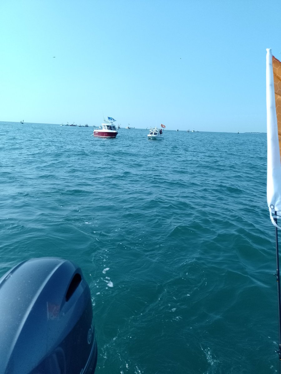 Kevin Hare tweet media