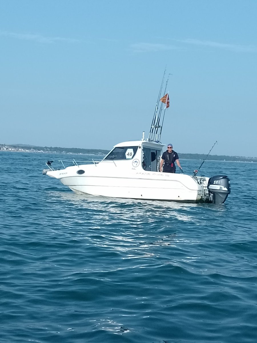 Kevin Hare tweet media