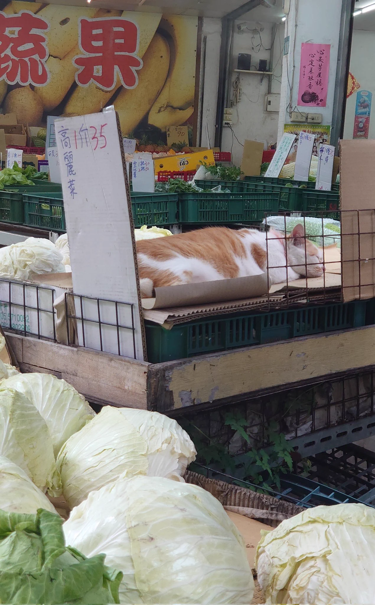 @haruotpe そうなんです🥰 