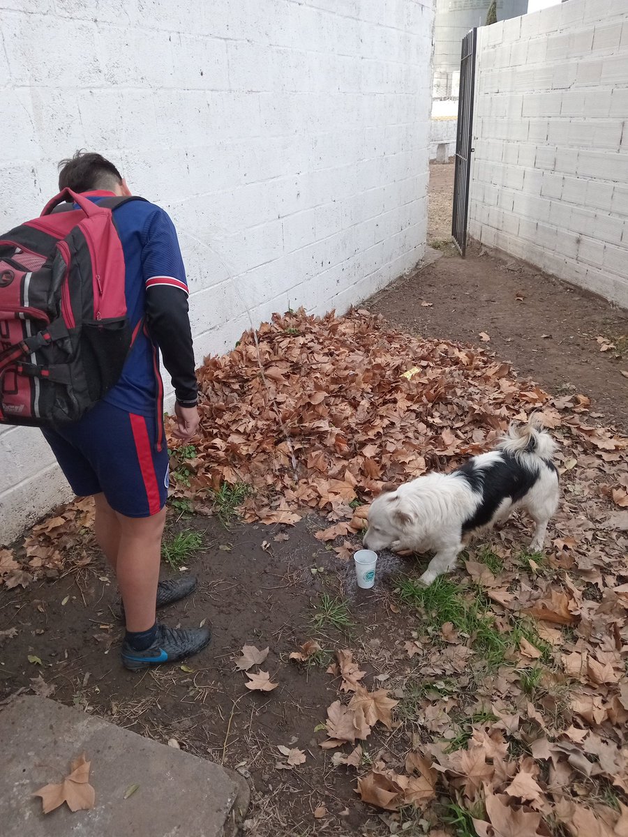 Braian Alberto Fierro tweet media