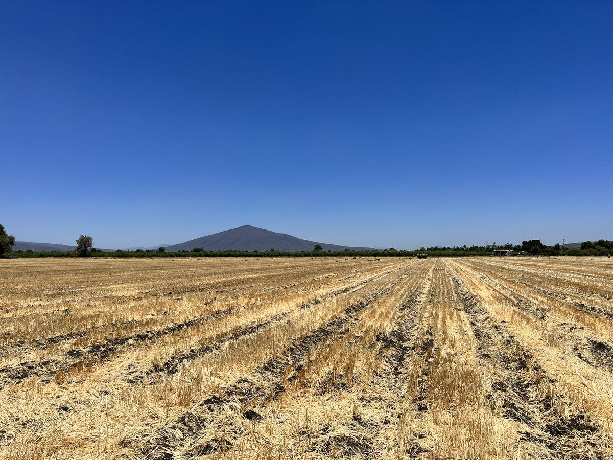 Agricultura de Conservación en el corazón de Bajío Mexicano.
📍🇲🇽