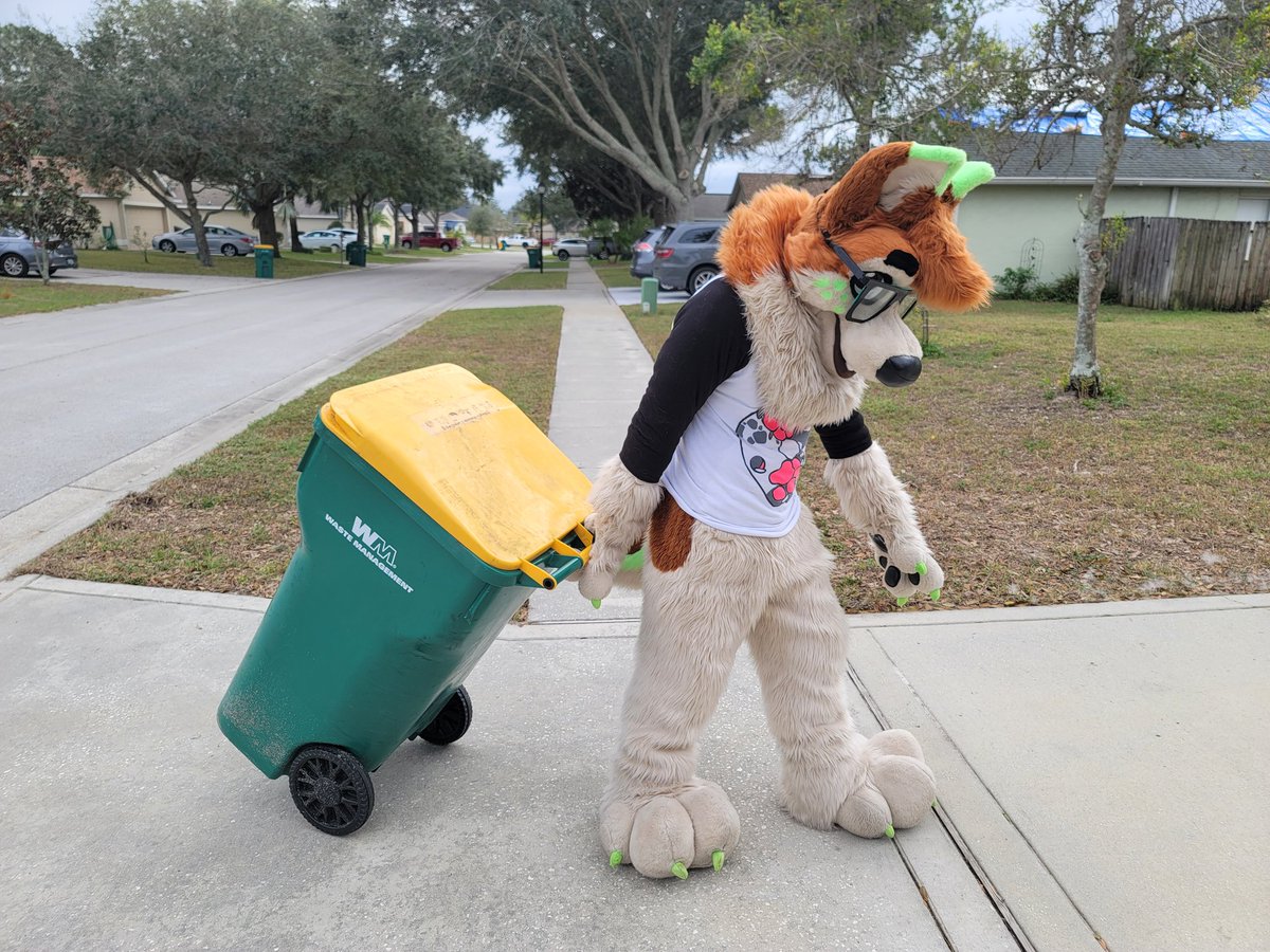 Practicing being a sled dog... one step at a time. 😋

#FursuitFriday