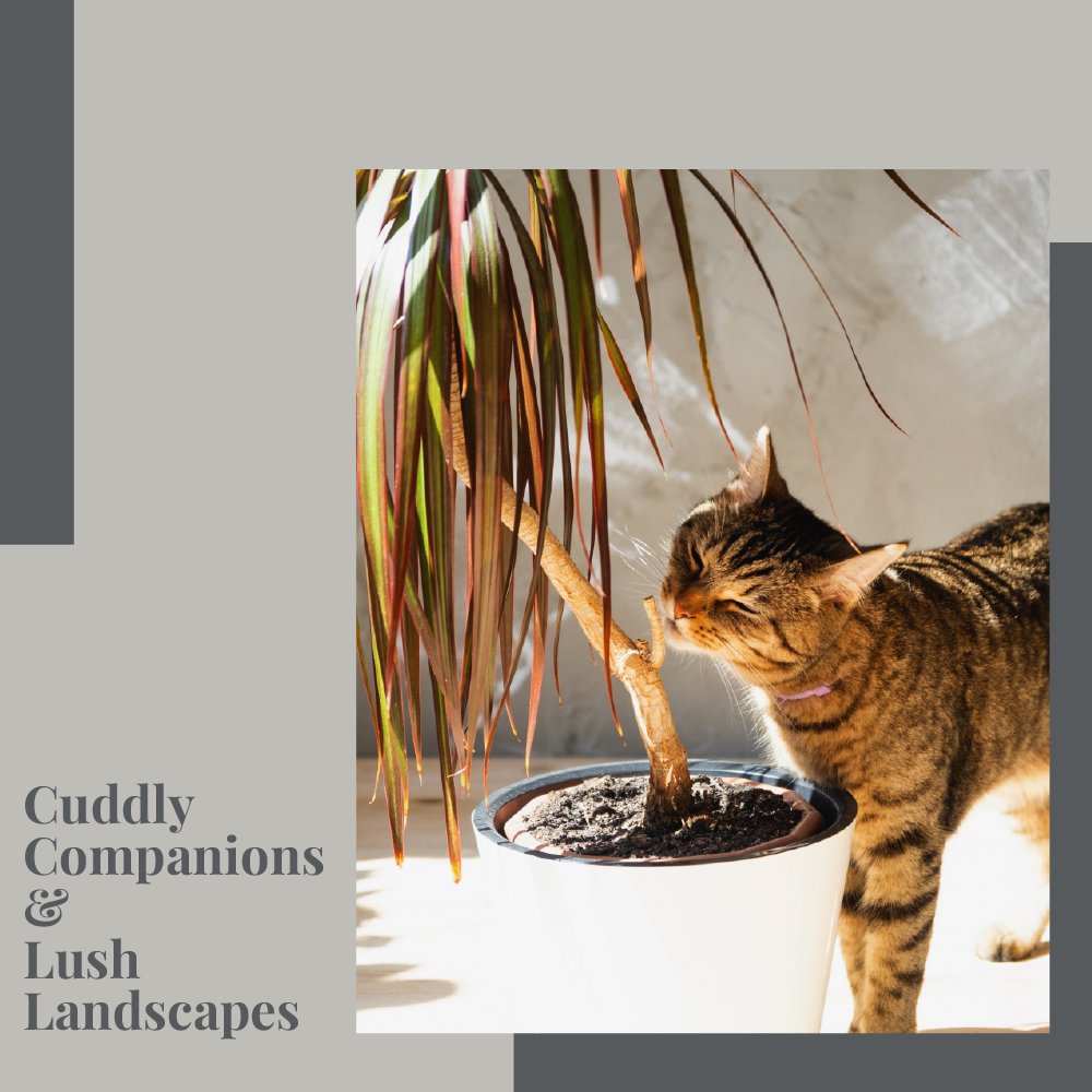 What are some creative ways to keep your pets from destroying your plants?
#LifesGoodOnLakeOconee    #CbLakeOconee #lakeoconee #coldwellbanker #lakelife