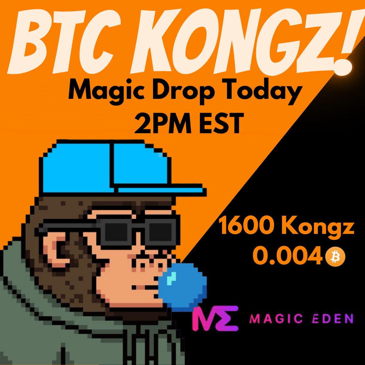 Bitkong 🍕 tweet media