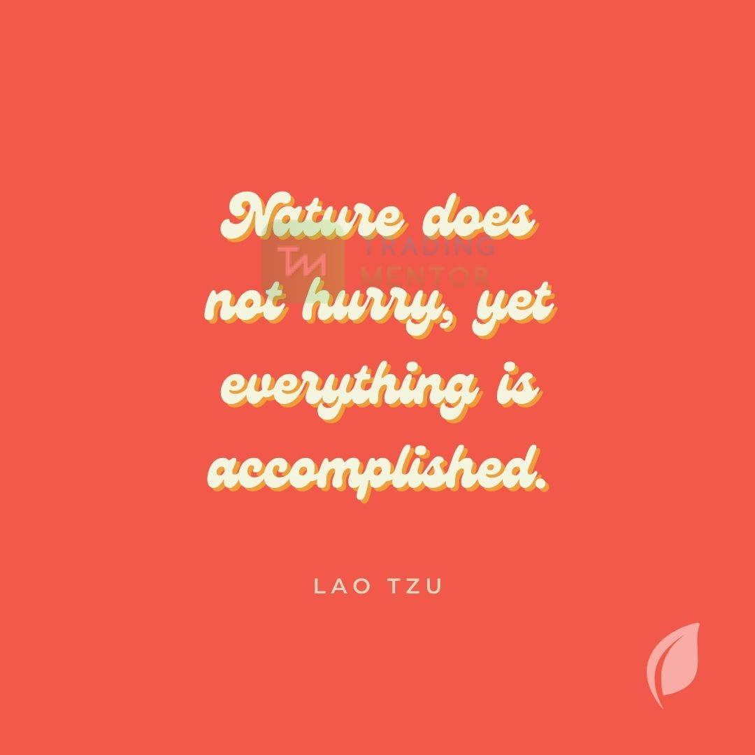 Nature does not hurry,
yet everything is accomplished.
~ Lao Tzu

#donthurry #accomplishmore