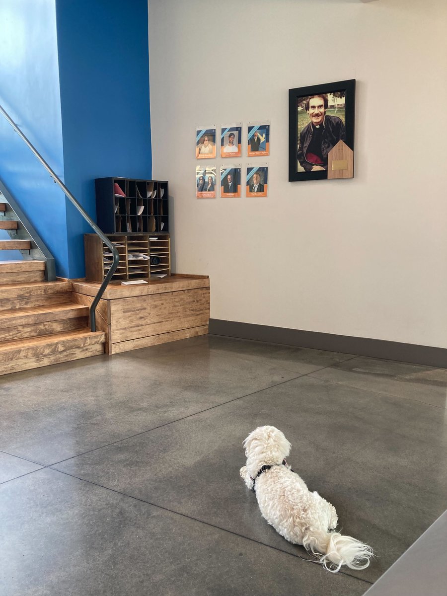 bitsofguy's tweet image. #TakeYourDogToWorkDay

@DismasNashville 
@nashvillehumane