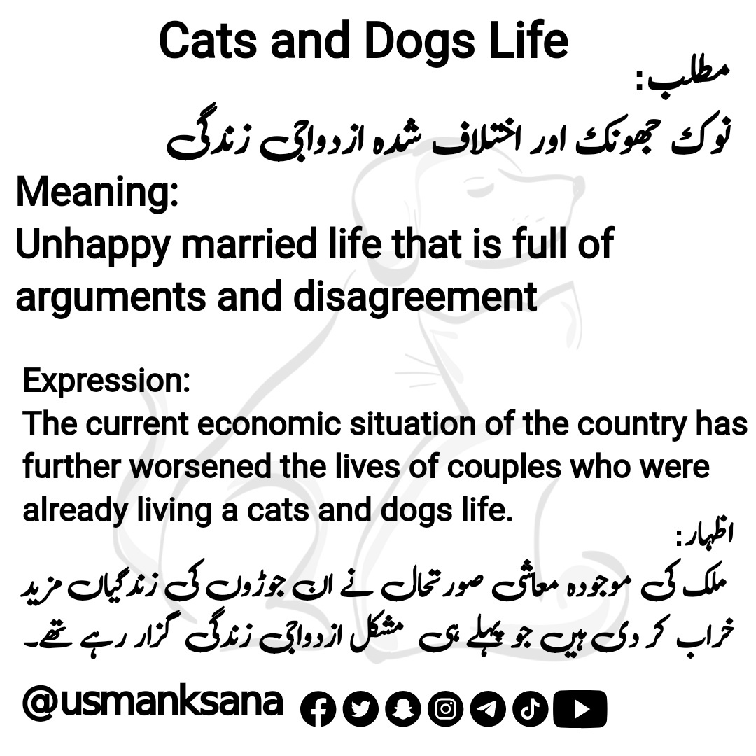 UsmanKsana's tweet photo. Subscribe: https://t.co/3gDyZ0IMX0

#idioms #catsanddogs #englishvocabulary #englishidioms  #idiomoftheday #competitiveexams #ieltsvocabulary #ieltsexam #ieltswriting #englishcomposition #IELTS #idiomaticexpressions #reels #reelsfb #reelsvideo #education https://t.co/EYVvwfMocs