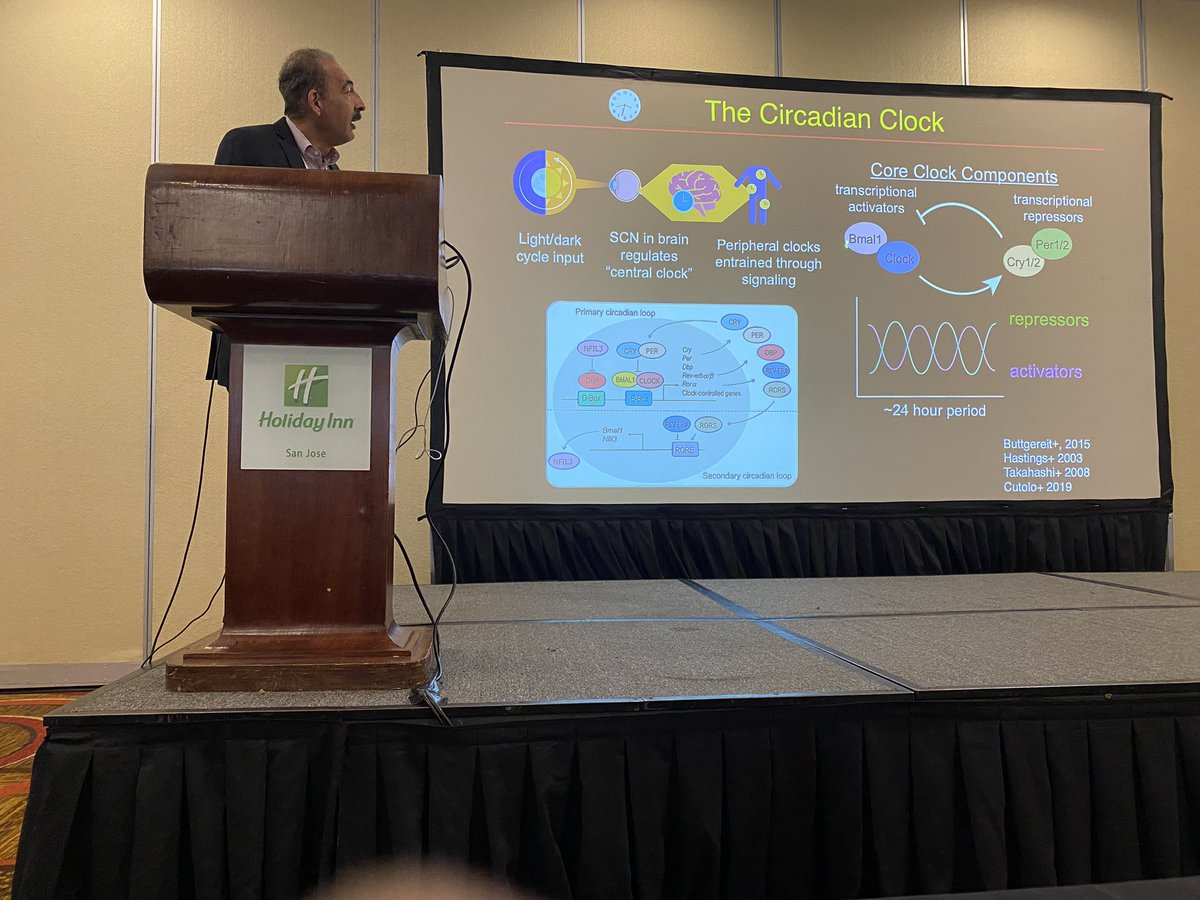 MokhtariTahere's tweet photo. Couldn’t ask for a better starting talk on the second day of #mSBW 2023. Totally mind-blown by the fascinating talk by Dr. Farsh Guliak on chronogenetic gene circuits for timed cyclic drug delivery to optimally alleviate chronic inflammation🤯🧠.
#AIChE #SBE https://t.co/OUVKw3yOtT
